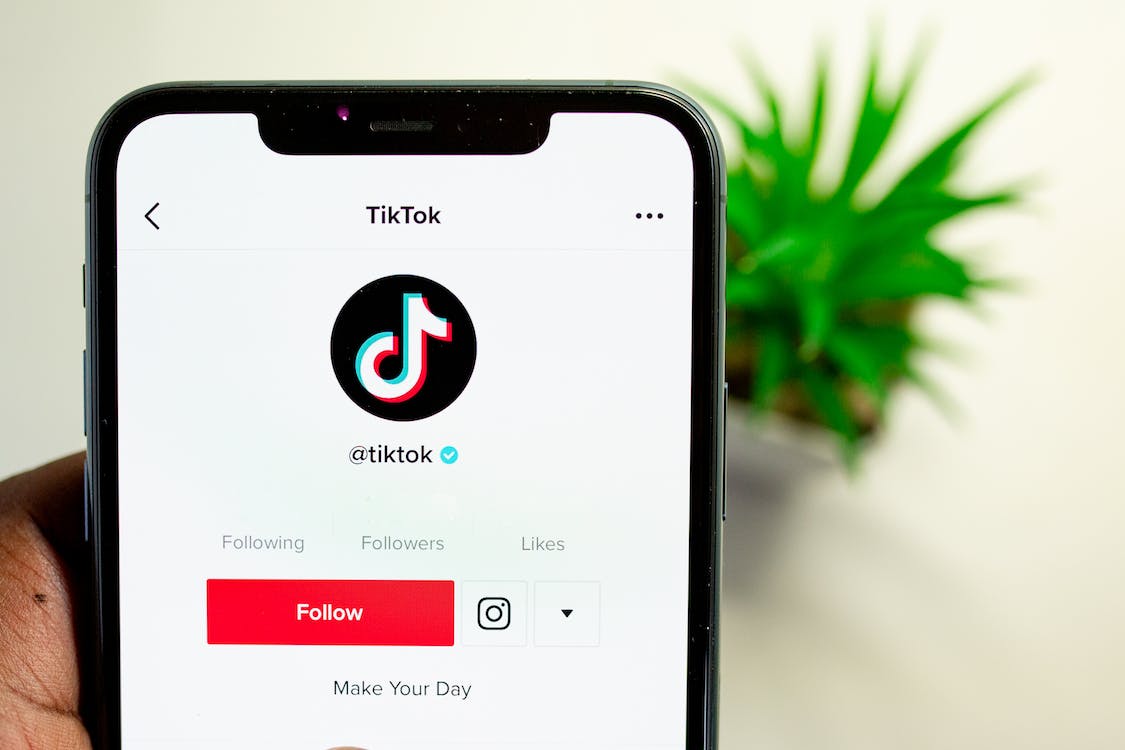 Photo of a smartphone showing the TikTok app, with an out-of-focus green plant in the background