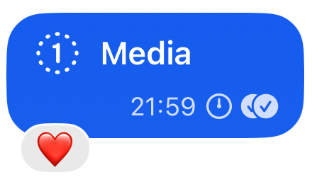 Screenshot of a single-view photo in Signal. Nothing (currently) appears in the same point in this conversation in Beeper.